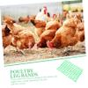BESPORTBLE 200-Piece Numbered Poultry Leg Bands, Reusable Identification Rings for Chickens and Ducks, Green view 2
