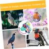 BESPORTBLE Lightweight Bird Flight Suit for Parrots and Large Parakeets, Breathable Fabric with Colorful Leash view 4