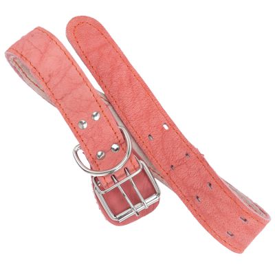 Generic Party Leather Collar for Dogs