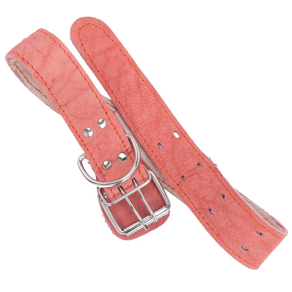 Generic Party Leather Collar for Dogs
