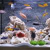Happyyami Lifelike Aquarium Plants view 3
