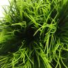 Happyyami Artificial Aquarium Plants view 3