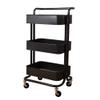 Black Thickened Salon Beauty Trolley view 1
