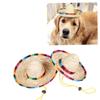 Supvox 2-Piece Adjustable Beige Mexican-Style Sun Hats for Pets view 4
