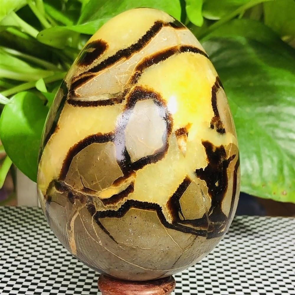 AtkitS Beautiful Natural Turtle-Back Stone, Egg-Shaped Dragon Crystal, Crack, Mineral Specimen, Healing (Size: 400–450 g)