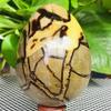 AtkitS Beautiful Natural Turtle-Back Stone, Egg-Shaped Dragon Crystal, Crack, Mineral Specimen, Healing (Size: 400–450 g) view 3