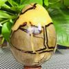 AtkitS Beautiful Natural Turtle-Back Stone, Egg-Shaped Dragon Crystal, Crack, Mineral Specimen, Healing (Size: 400–450 g) view 4