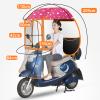 wanghaiyanBD Universal Rain Canopy for Electric Motorcycles and Mobility Scooters view 2