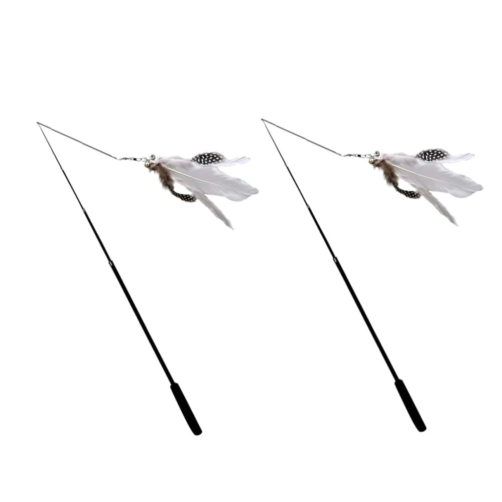 INOOMP 6-Piece Cat Wand Teaser Set, Extendable Interactive Cat Toy