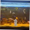Ciieeo Mini Rock Landscape Model for Aquariums view 3