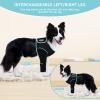 Comwish Dog Recovery Sleeve, Front Leg Protection, Size M view 2