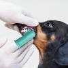 Dog Finger Toothbrush, Silicone Pet Finger Brush view 3
