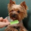 Dog Finger Toothbrush, Silicone Pet Finger Brush view 3