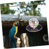 BESPORTBLE Hanging Bird Food Ball Toy for Parrots and Parakeets view 3