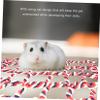 BESPORTBLE 3-Piece Hanging Net Toy for Birds and Small Animals view 4