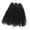 Curly Remy Human Hair Tape-In Extensions view 2