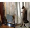 ASHILD Extra-Tall 100–150 cm Wide Pet Gate for Dogs and Cats, White view 3