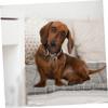 Sosoport Thickened Pet Mat view 2