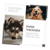 Sosoport Thickened Pet Mat view 4