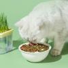 3-Piece Cat Grass Tray - Hydroponic Planter for Cat Grass view 3