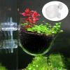 Birtern Aquarium Plant Holder with Suction Cup - 4 Pack view 2