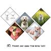 Personalized Pet ID Tag for Dogs and Cats, Gold, 30 x 30 mm view 4