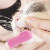 Dog Finger Toothbrush - Silicone Pet Toothbrush view 2