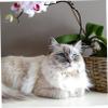 Decorative Gold Cat Collar with Bell, Adjustable view 2