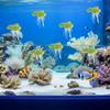 Happyyami 18-Piece Artificial Duckweed Decoration view 4