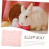 BESPORTBLE 3-Piece Small Animal Sleeping Mat, Warm Soft Cozy Pad for Guinea Pigs, Hamsters, Rats and Other Small Animals view 4
