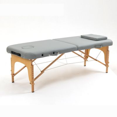 WQZStar 2-Section Folding Massage Therapy Table with Carrying Bag (A)