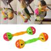 Interactive Parrot Toy for Pets, 2 Pieces view 2