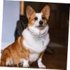 Supvox Adjustable Pearl Necklace for Dogs and Cats view 4