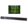 LIYJTK PVC Adhesive Underwater Forest Background view 1
