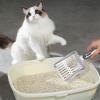 Cat Litter Scoop view 2