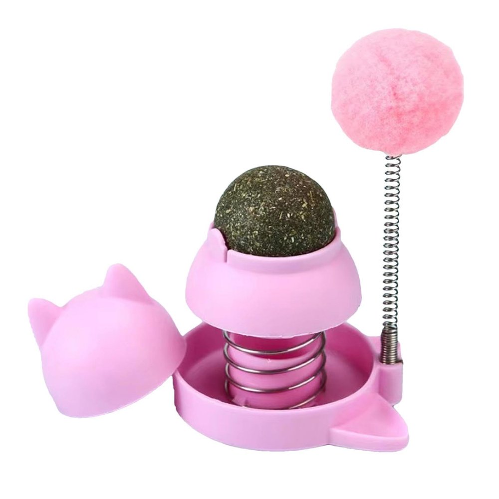 Catnip Balls Toy for Cats