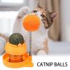 Catnip Ball Toy for Cats with Interactive Dental Care view 2