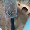 Cat Litter Scoop - Metal Poop Scoop with Long Handle view 3