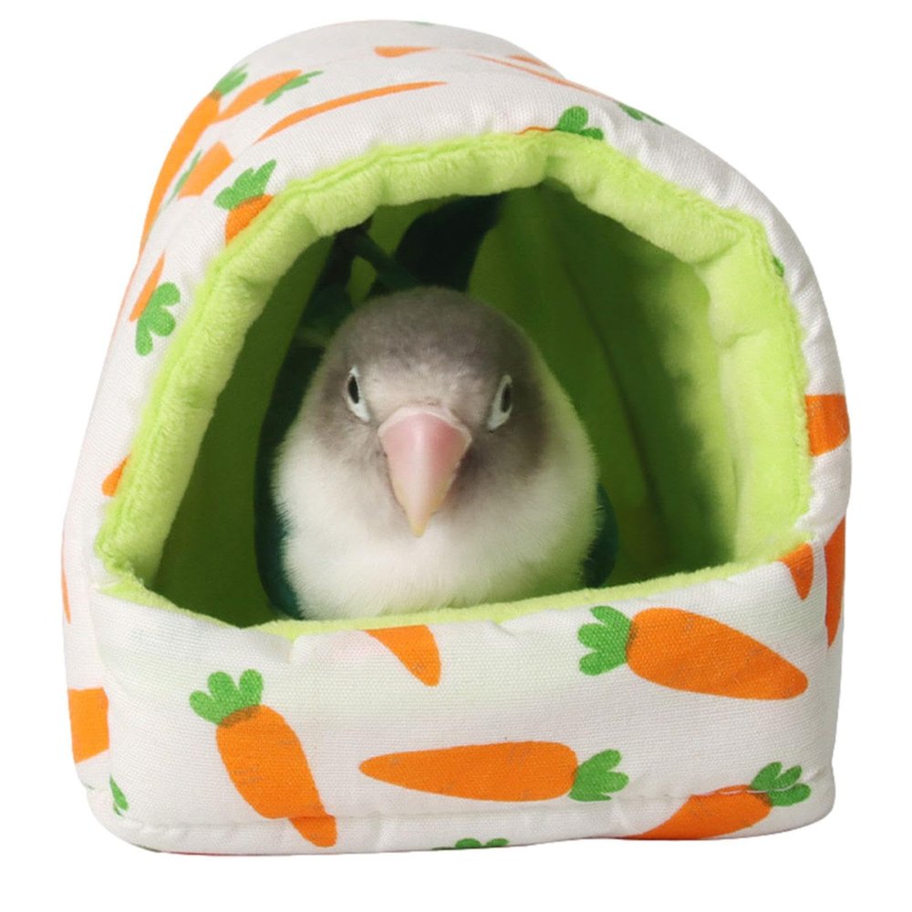 Hamster Hideout | Cute Semi-Closed Carrot Pattern