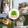 Hamster Hideout | Cute Semi-Closed Carrot Pattern view 4