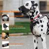 Seyezo Soft Breathable Dog Muzzle, Air-Mesh Nylon, Adjustable, Black, XXL view 2