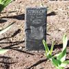 DEKOLANDO Personalized Pet Grave Marker – Harzer Fuchs, 22 x 8 cm view 2