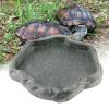 CDQL Reptile Feeding Station view 4