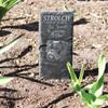 DEKOLANDO Personalized English Bulldog Memorial Grave Stake, 22 x 8 view 2