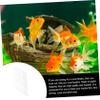 WOONEKY Coral Feeder Automatic Dispenser - 10 Pack view 3