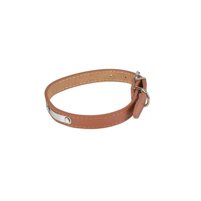 Love Story Leather Collar with Metal Plate, Size L, 50 x 1.8 cm, Cognac