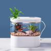 Aquarium with Integrated Tabletop view 4