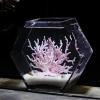 Hexagonal Glass Aquarium, Transparent Tabletop Aquarium for Betta Fish and Goldfish (Size: S) view 3