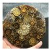 RVBLRDSE Solidification Bead for Natural Ammonia-Fossilized Stone Slab Shell Crystal Specimen view 2