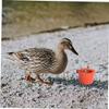 Yardwe Bird Food Bowls for Cages, Reusable and Washable, 8 Pieces view 4
